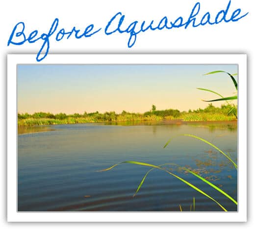 Lake before Aquashade was added