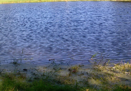 Great looking pond in the fall