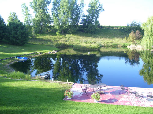 Great looking backyard pond